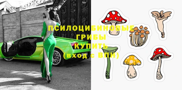 бошки Алексин