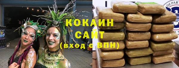 бошки Алексин