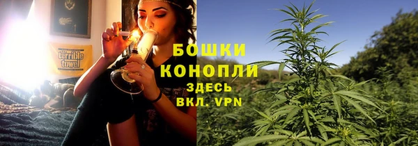 бошки Алексин