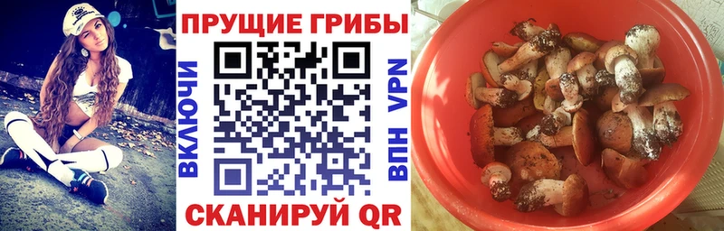 ОМГ ОМГ зеркало наркошоп Белореченск Псилоцибиновые грибы Psilocybe